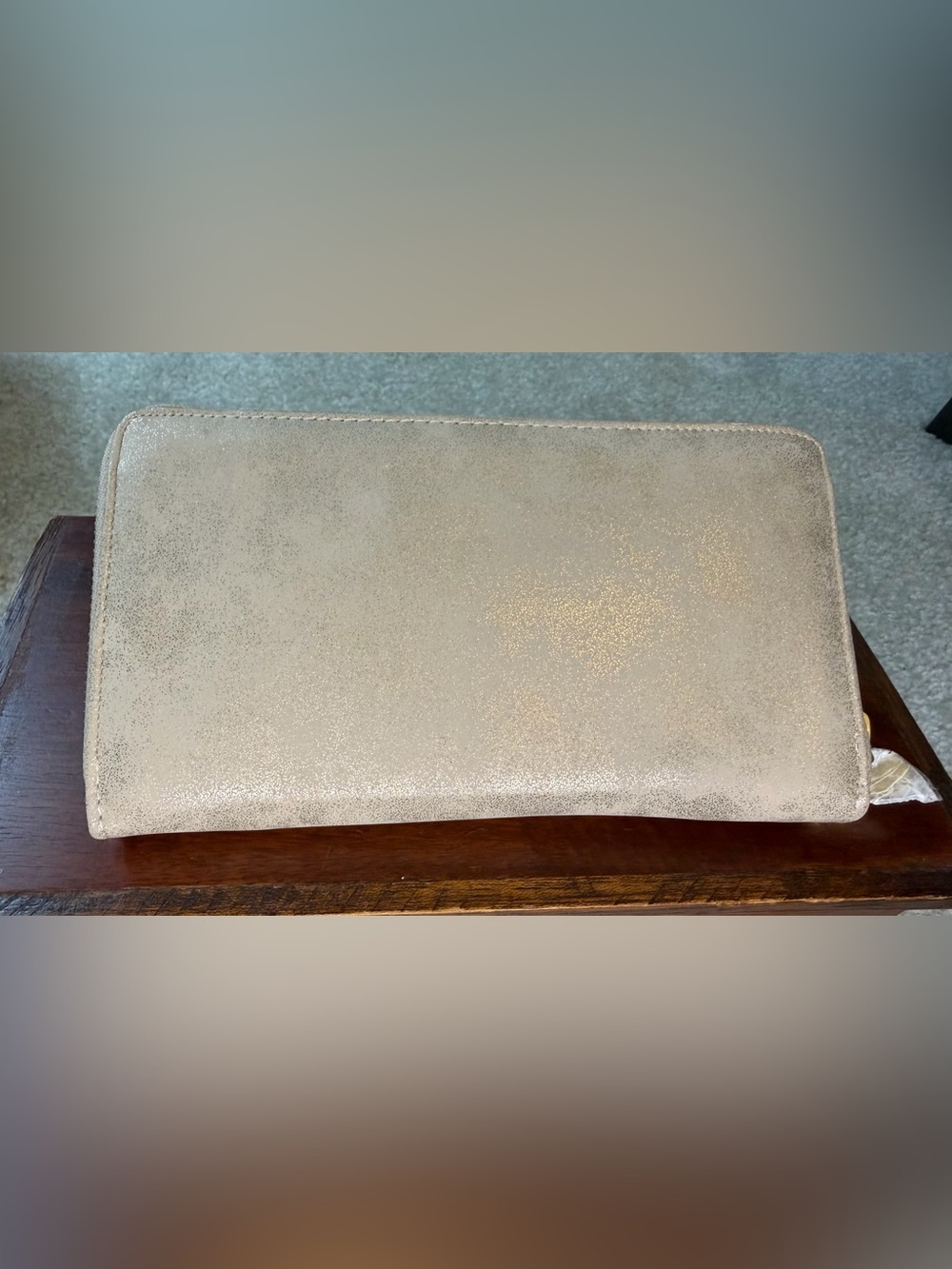 Shimmery Metallic Silver Wallet